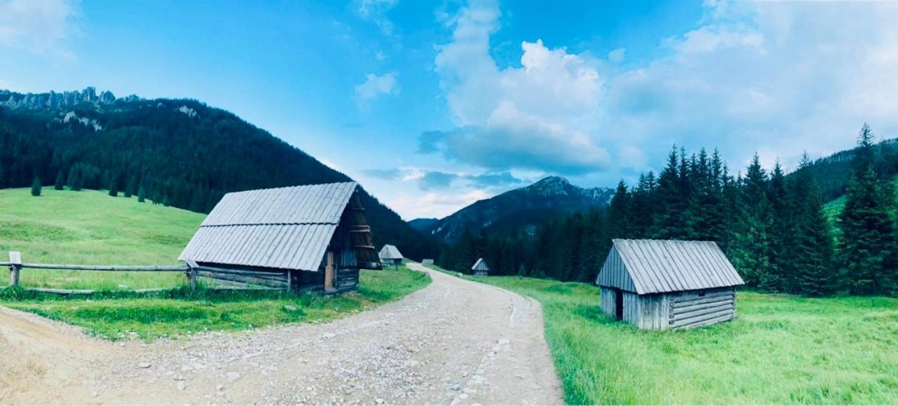 Goralska Chatka 考斯赛力克 外观 照片